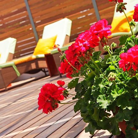 Apartments Diana - New Heated Pool Bol Exterior foto