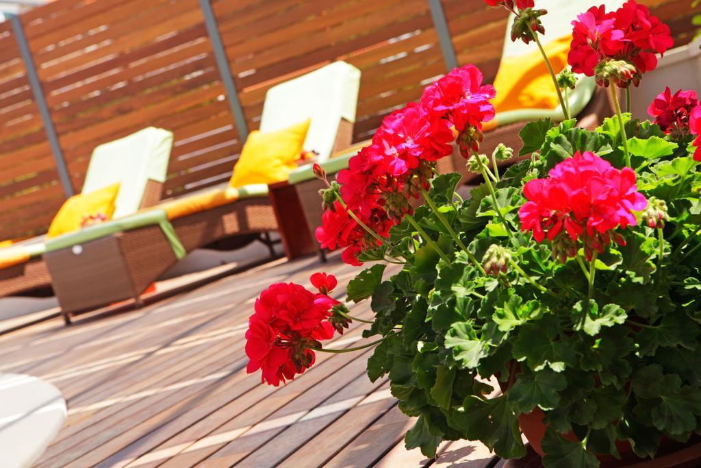Apartments Diana - New Heated Pool Bol Exterior foto